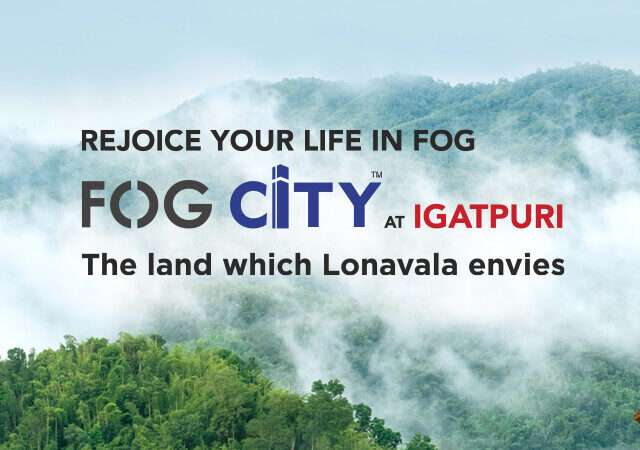 Fog City