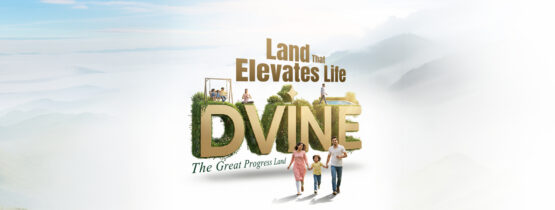 Dvine