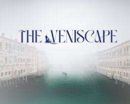 The Veniscape